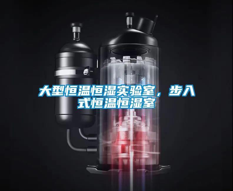 大型恒温恒湿实验室，步入式恒温恒湿室