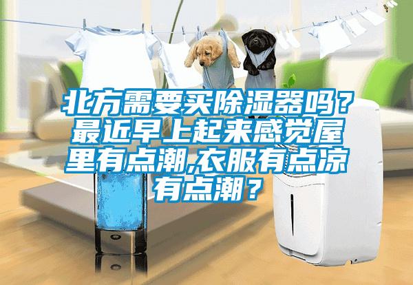 北方需要买除湿器吗？最近早上起来感觉屋里有点潮,衣服有点凉有点潮？