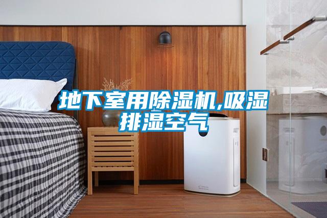 地下室用麻豆视频黄网站,吸湿排湿空气