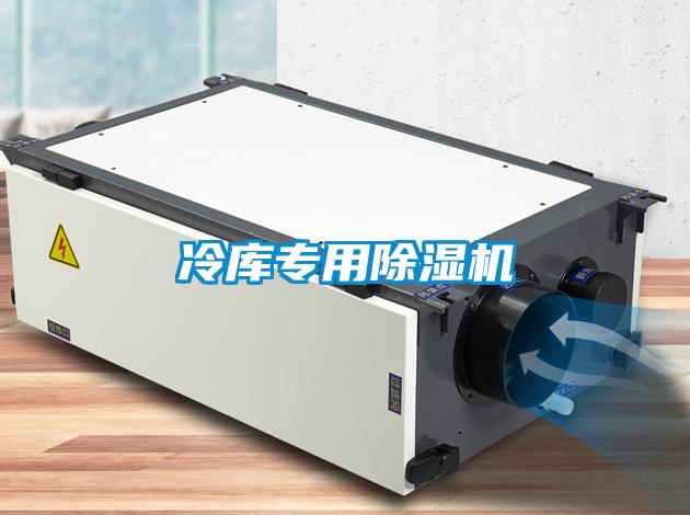 冷库专用麻豆视频黄网站