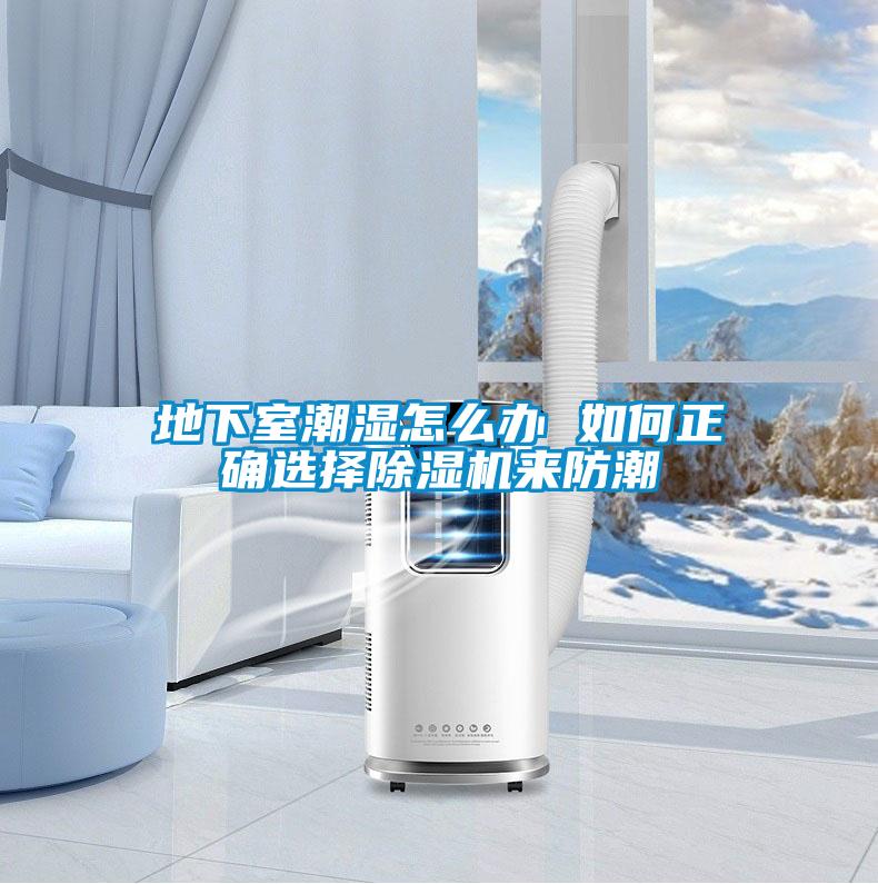地下室潮湿怎么办 如何正确选择麻豆视频黄网站来防潮