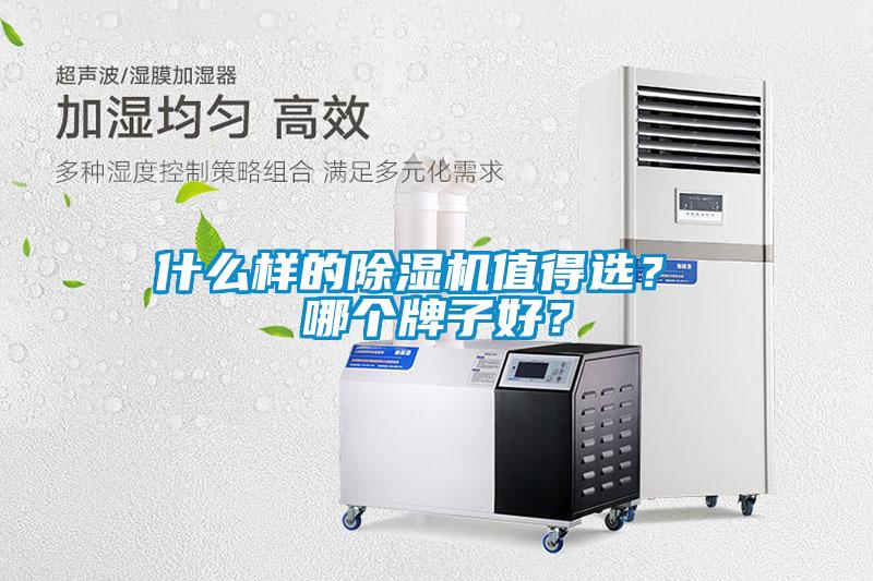 什么样的麻豆视频黄网站值得选？ 哪个牌子好？