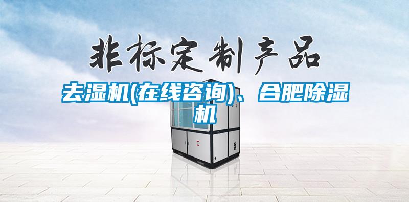去湿机(在线咨询)、合肥麻豆视频黄网站