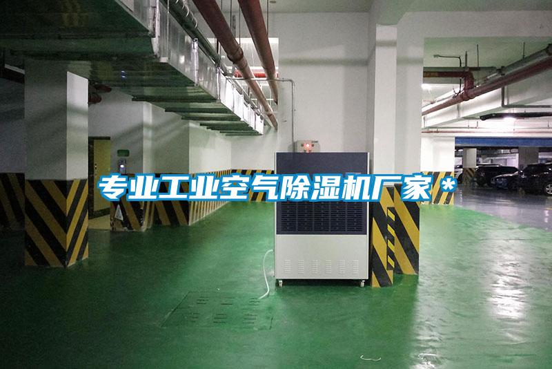 专业工业空气麻豆视频黄网站厂家＊