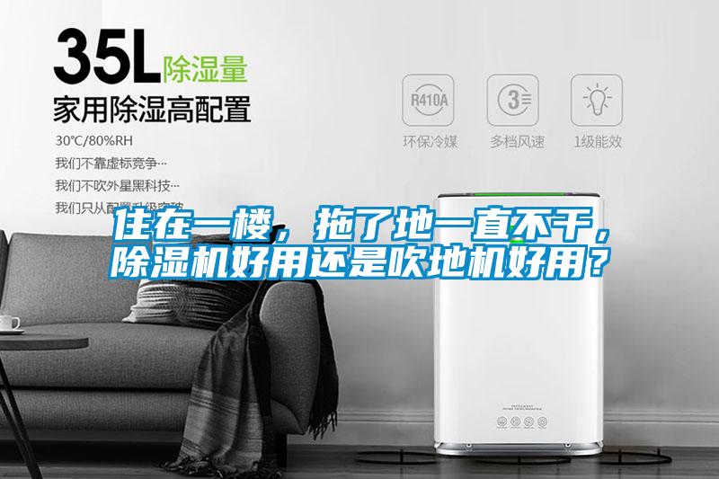 住在一楼，拖了地一直不干，麻豆视频黄网站好用还是吹地机好用？
