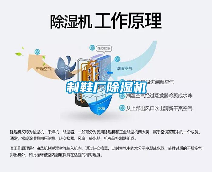 制鞋厂麻豆视频黄网站