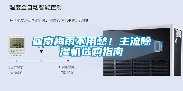 回南梅雨不用愁！主流麻豆视频黄网站选购指南