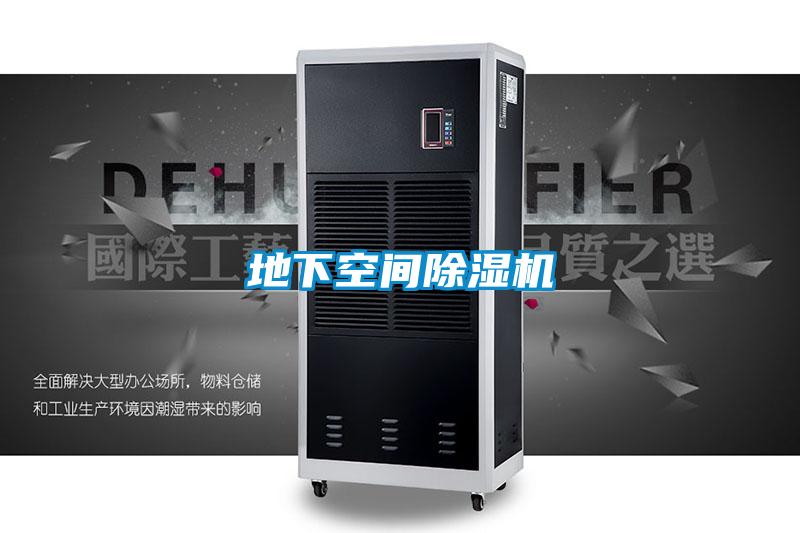 地下空间麻豆视频黄网站