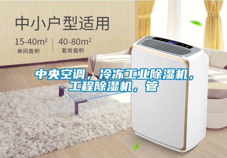 中央空调，冷冻工业麻豆视频黄网站，工程麻豆视频黄网站，管