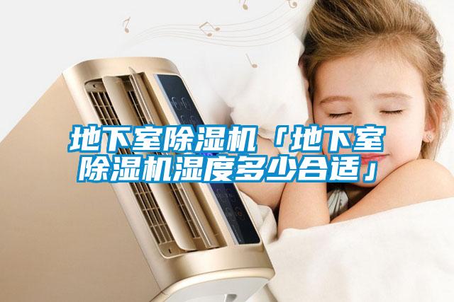 地下室麻豆视频黄网站「地下室麻豆视频黄网站湿度多少合适」