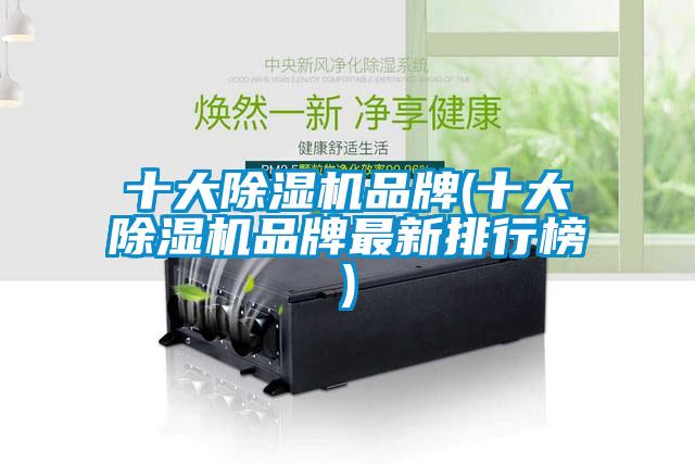 十大麻豆视频黄网站品牌(十大麻豆视频黄网站品牌最新排行榜)