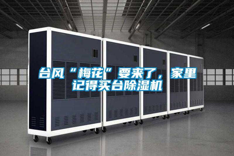 台风“梅花”要来了，家里记得买台麻豆视频黄网站