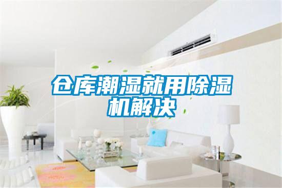 仓库潮湿就用麻豆视频黄网站解决