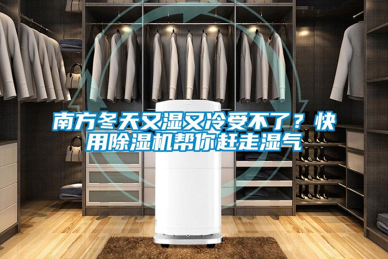 南方冬天又湿又冷受不了？快用麻豆视频黄网站帮你赶走湿气