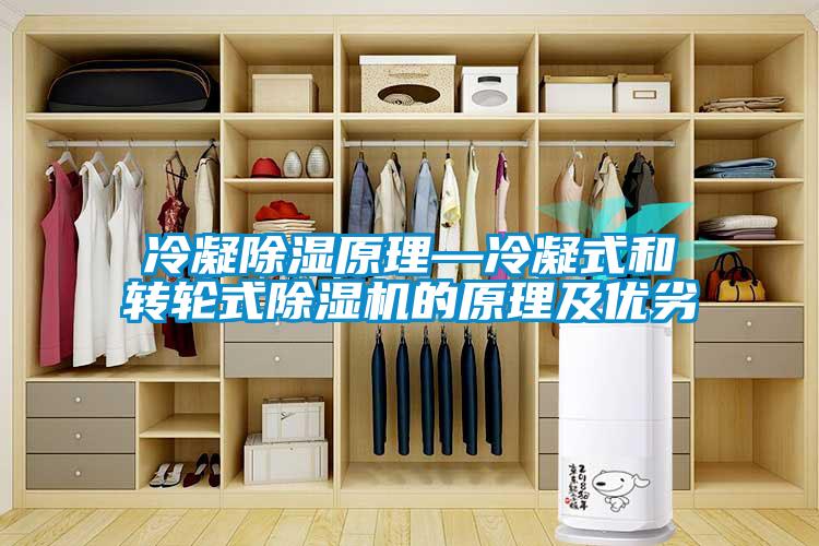 冷凝除湿原理—冷凝式和转轮式麻豆视频黄网站的原理及优劣