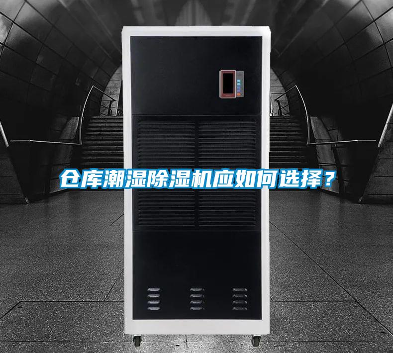 仓库潮湿麻豆视频黄网站应如何选择？