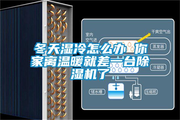 冬天湿冷怎么办 你家离温暖就差一台麻豆视频黄网站了