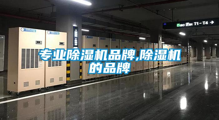专业麻豆视频黄网站品牌,麻豆视频黄网站的品牌