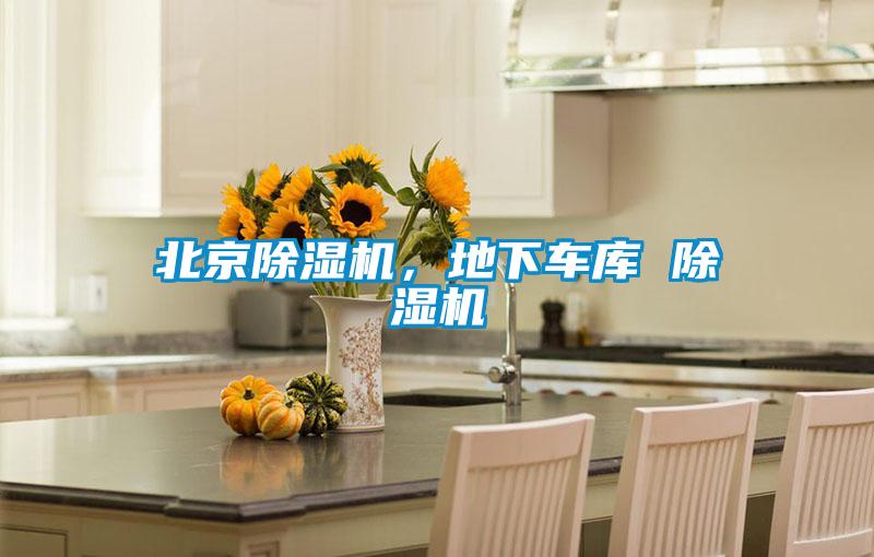 北京麻豆视频黄网站，地下车库 麻豆视频黄网站