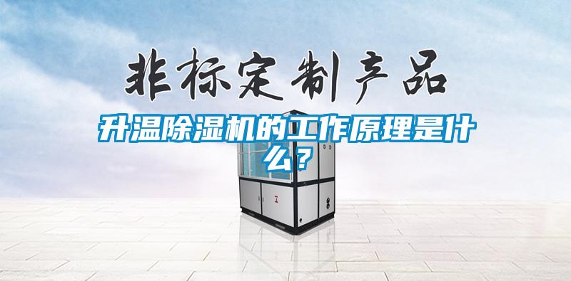 升温麻豆视频黄网站的工作原理是什么？