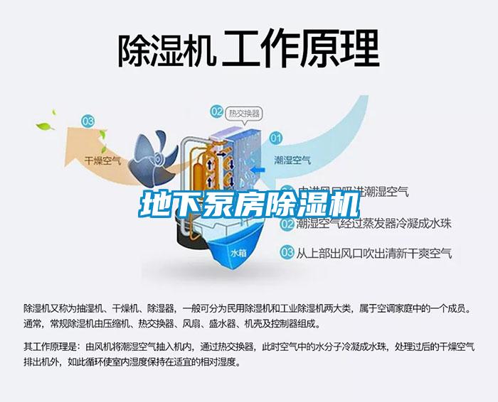 地下泵房麻豆视频黄网站