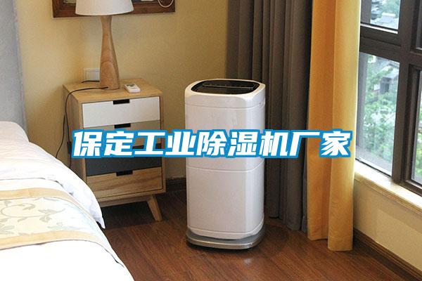 保定工业麻豆视频黄网站厂家