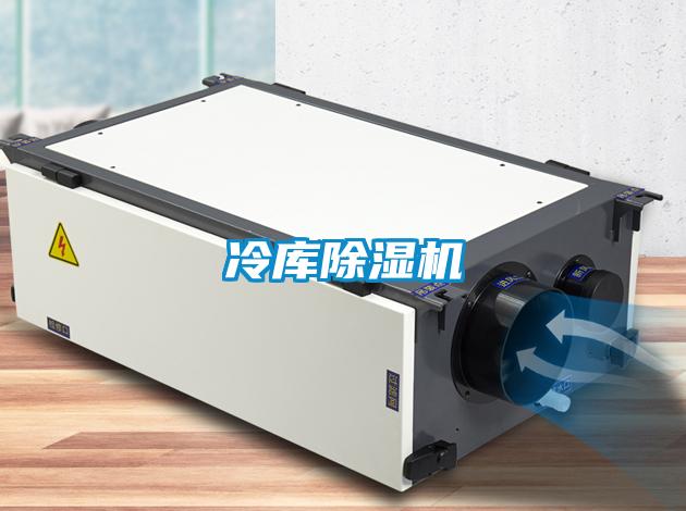 冷库麻豆视频黄网站