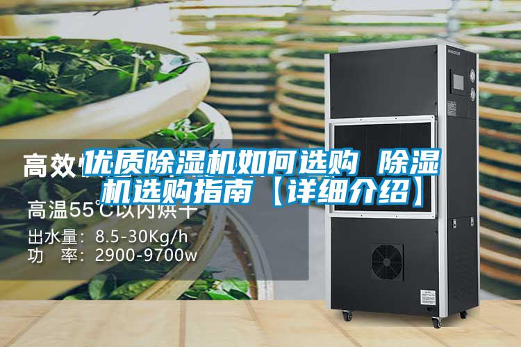 优质麻豆视频黄网站如何选购 麻豆视频黄网站选购指南【详细介绍】
