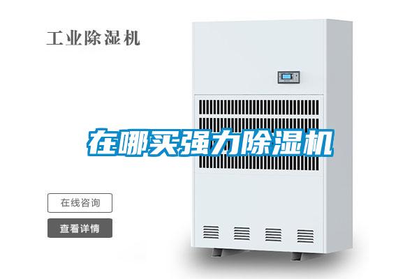 在哪买强力麻豆视频黄网站