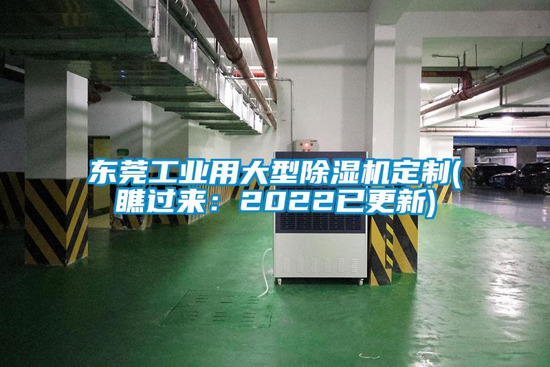 东莞工业用大型麻豆视频黄网站定制(瞧过来：2022已更新)