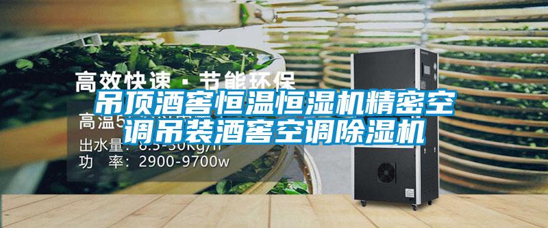 吊顶酒窖恒温恒湿机精密空调吊装酒窖空调麻豆视频黄网站