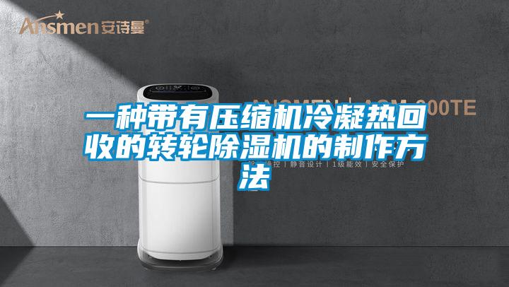 一种带有压缩机冷凝热回收的转轮麻豆视频黄网站的制作方法