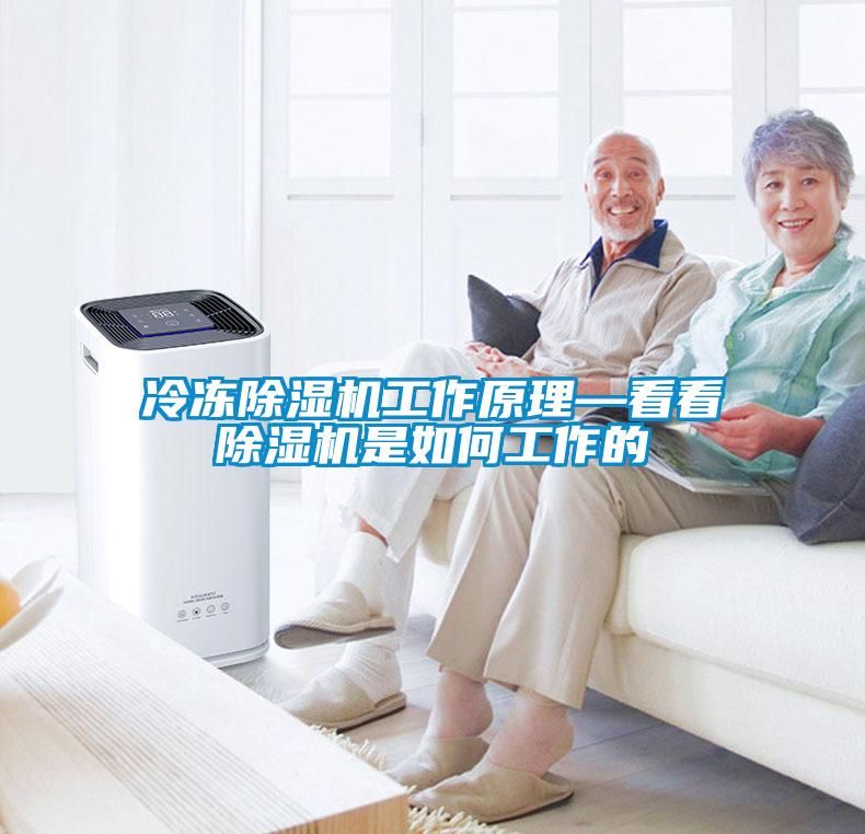 冷冻麻豆视频黄网站工作原理—看看麻豆视频黄网站是如何工作的
