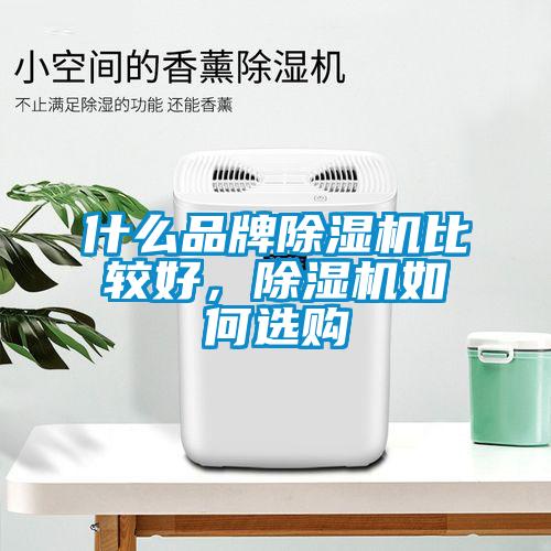 什么品牌麻豆视频黄网站比较好，麻豆视频黄网站如何选购