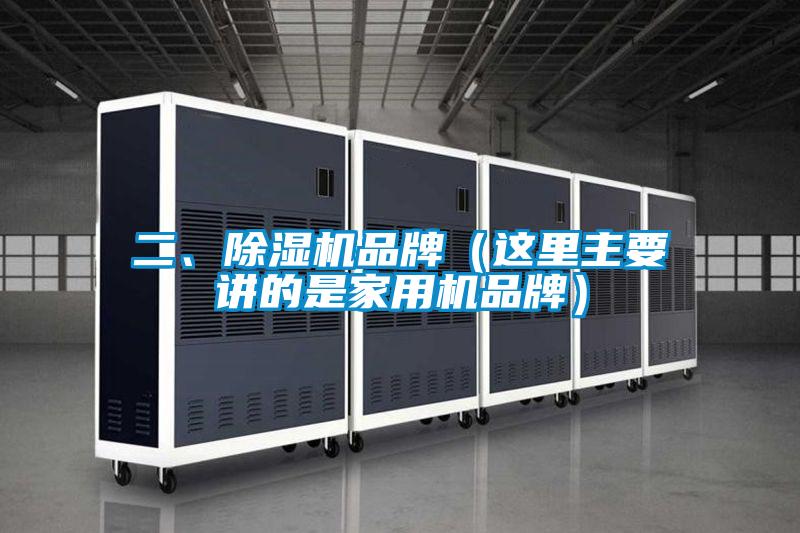 二、麻豆视频黄网站品牌（这里主要讲的是家用机品牌）