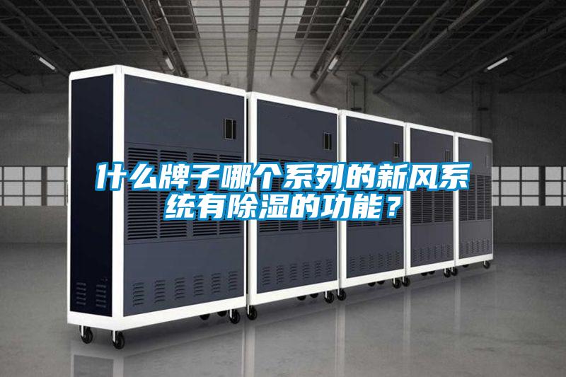 什么牌子哪个系列的新风系统有除湿的功能？