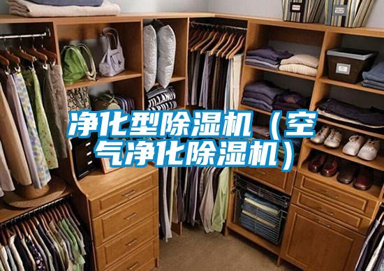净化型麻豆视频黄网站（空气净化麻豆视频黄网站）