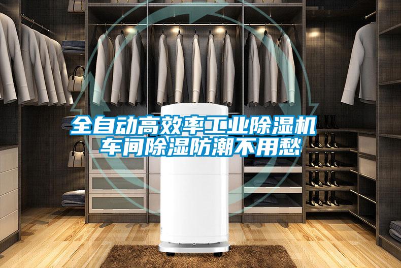 全自动高效率工业麻豆视频黄网站 车间除湿防潮不用愁