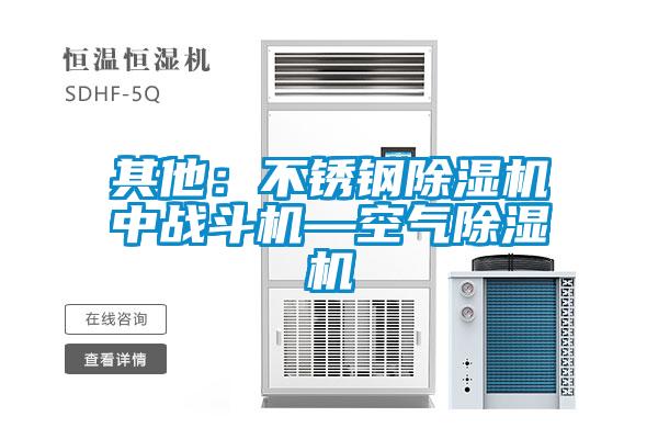其他：不锈钢麻豆视频黄网站中战斗机—空气麻豆视频黄网站
