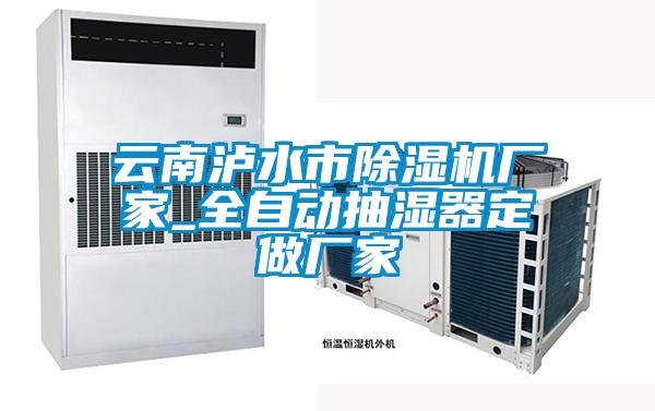 云南泸水市麻豆视频黄网站厂家_全自动抽湿器定做厂家