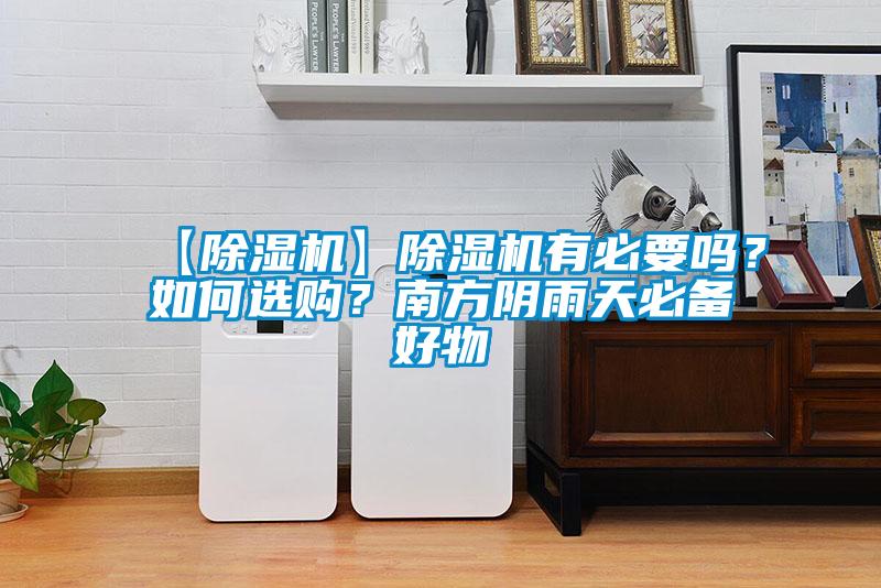 【麻豆视频黄网站】麻豆视频黄网站有必要吗？如何选购？南方阴雨天必备好物