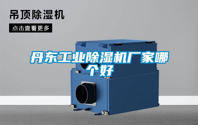 丹东工业麻豆视频黄网站厂家哪个好
