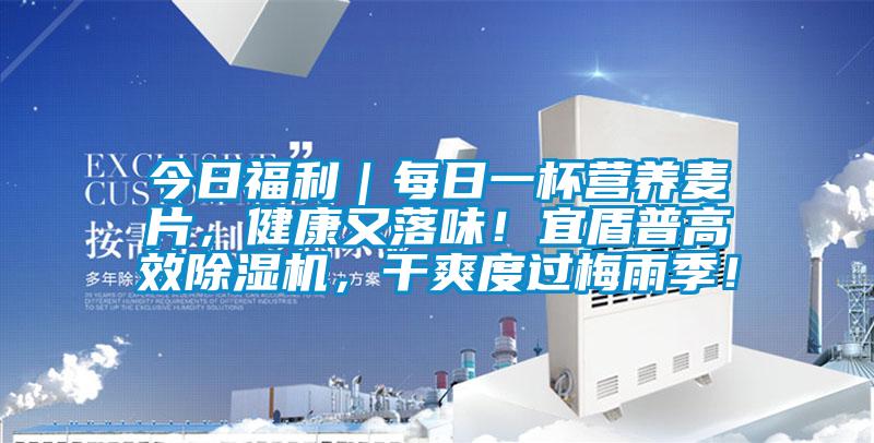 今日福利｜每日一杯营养麦片，健康又落味！宜盾普高效麻豆视频黄网站，干爽度过梅雨季！