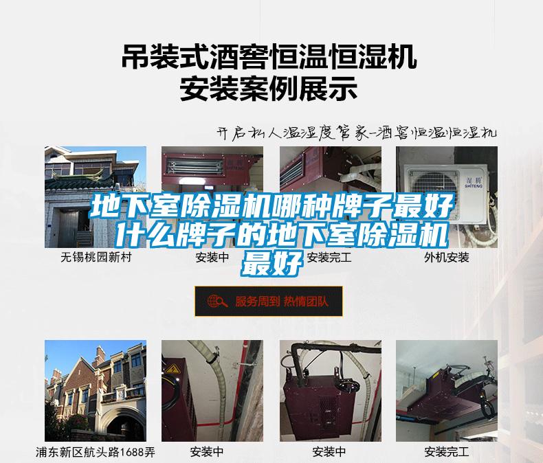 地下室麻豆视频黄网站哪种牌子最好 什么牌子的地下室麻豆视频黄网站最好