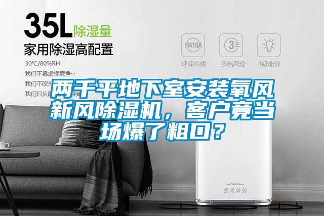 两千平地下室安装氧风新风麻豆视频黄网站，客户竟当场爆了粗口？
