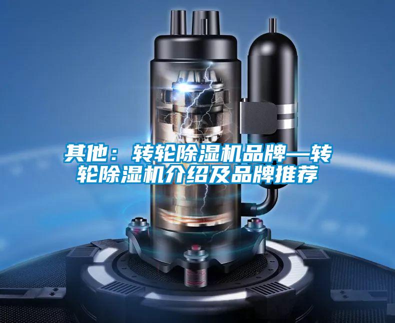 其他：转轮麻豆视频黄网站品牌—转轮麻豆视频黄网站介绍及品牌推荐