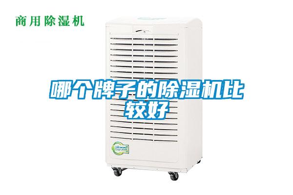 哪个牌子的麻豆视频黄网站比较好
