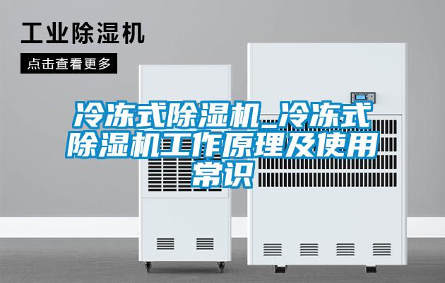 冷冻式麻豆视频黄网站_冷冻式麻豆视频黄网站工作原理及使用常识