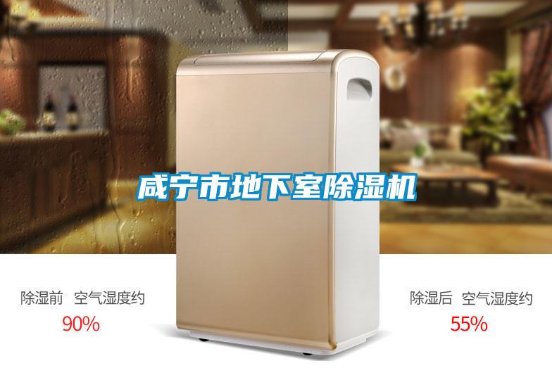 咸宁市地下室麻豆视频黄网站