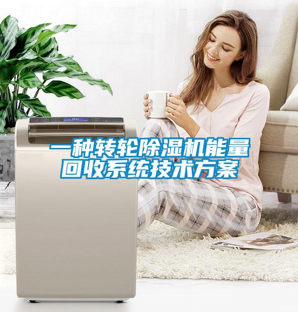 一种转轮麻豆视频黄网站能量回收系统技术方案
